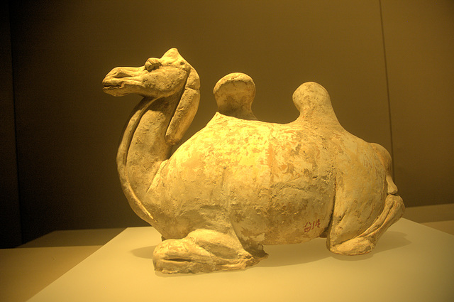 Ceramics in the Shaanxi Museum