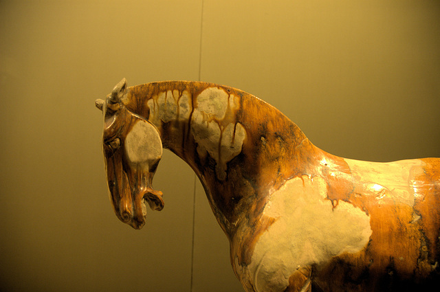 Ceramics in the Shaanxi Museum