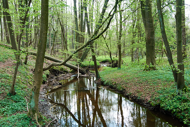 bachlauf-1180546-co-13-04-14