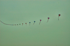 kites i