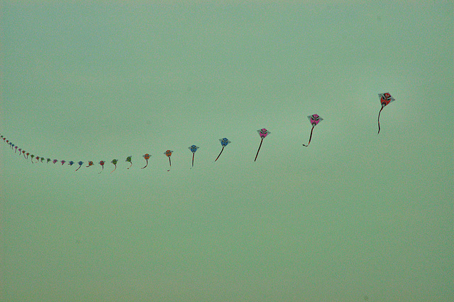 kites i