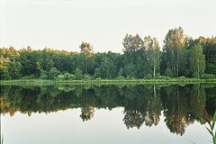 Janukjärv