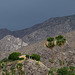 Palm Springs May rain (1778)