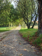 Montoison Drôme