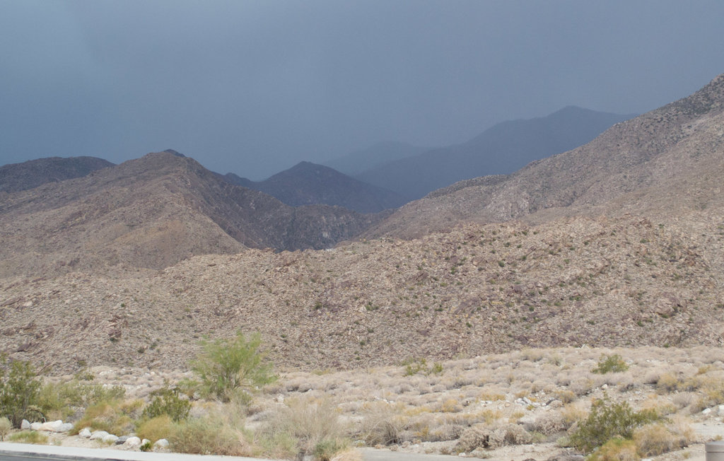 Palm Springs May rain (1781)