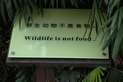 sign at the panda facility
