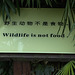 sign at the panda facility