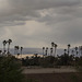 Palm Springs May rain (1783)