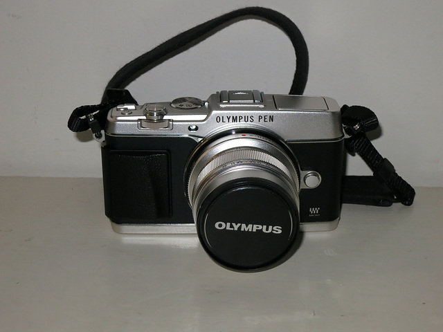 Olympus Pen E-P5 with 12mm f/2 lens.