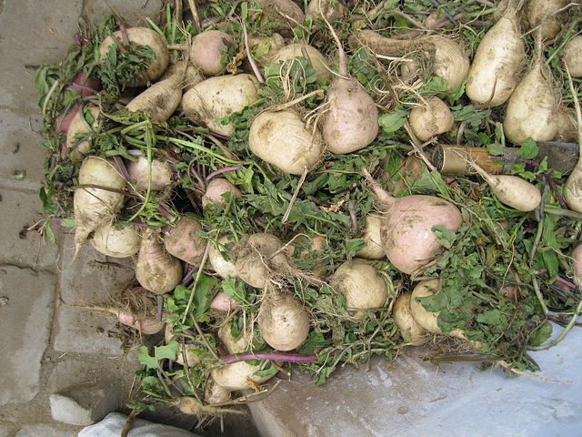 turnips