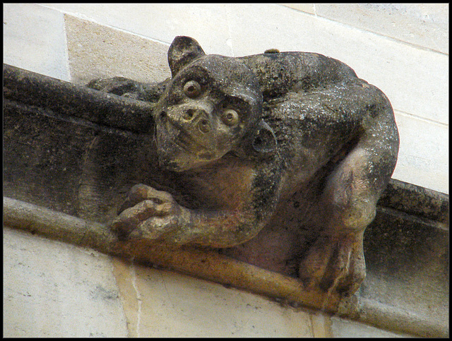 Magdalen College grotesque