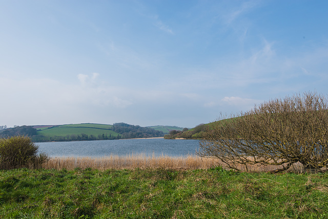 Slapton Leigh - 20140326