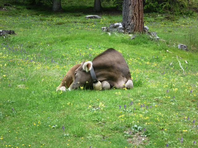 P1000507