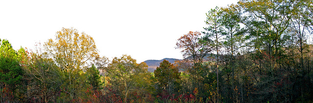 Big Ridge Panorama