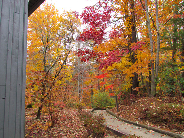 Colorful Autumn Pathway