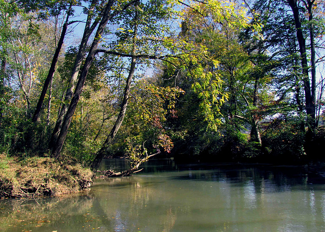 Fisher Creek at Big Wills Creek