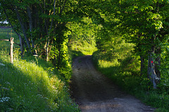 Beaujolais St Just d'Avray - La Joanas