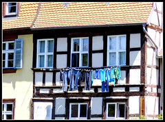 Bamberg 2009 064