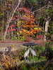 Birdbath in Fall