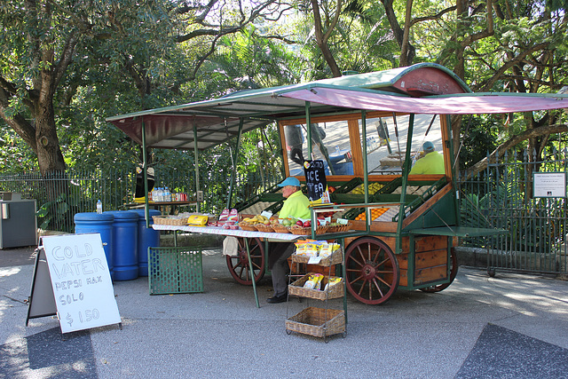 Street Seller