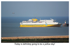 A Ferry Yellow Day - from Bishopstone - East Sussex - 11.4.2014