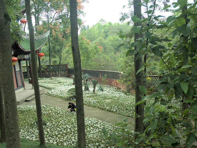 picking flowers