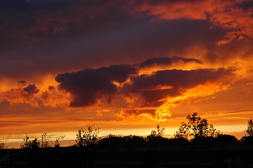 Anvil-shaped cloud