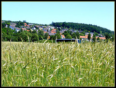 Bamberg 2009 131