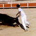 The day before the bullfight - 2