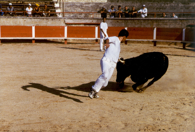 The day before the bullfight - 1