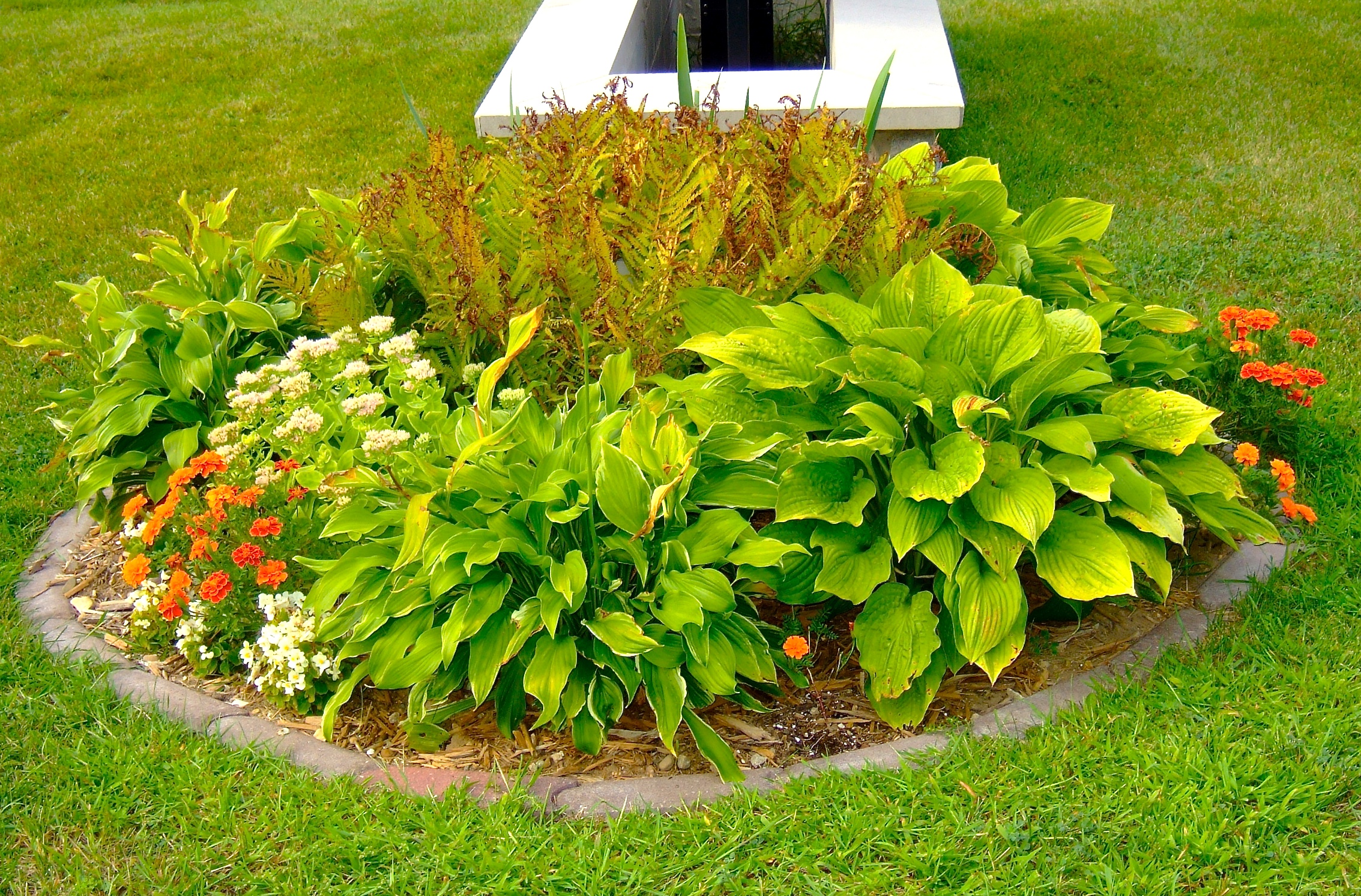 Garden by the Sign