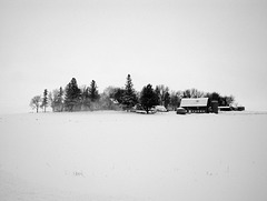 farm, snow
