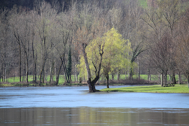 Beaulieu sur Dordogne