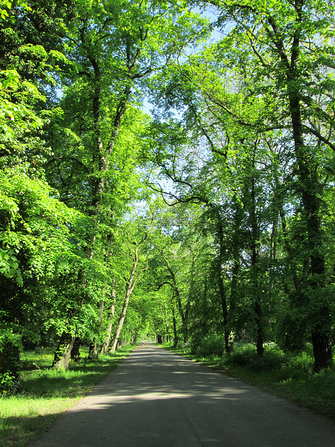 Green Avenue.