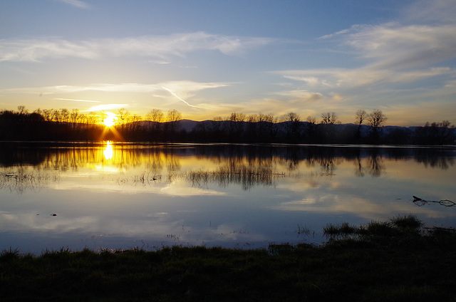 Balade sur les bords de Saône