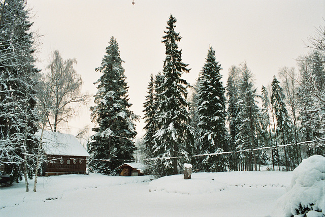 Talv 2006