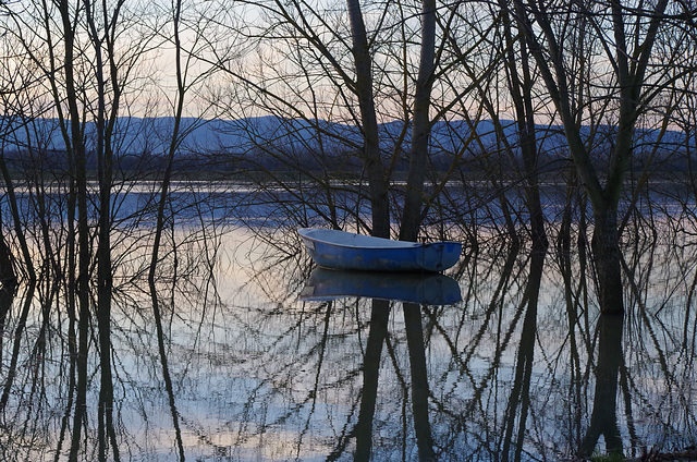 Balade sur les bords de Saône