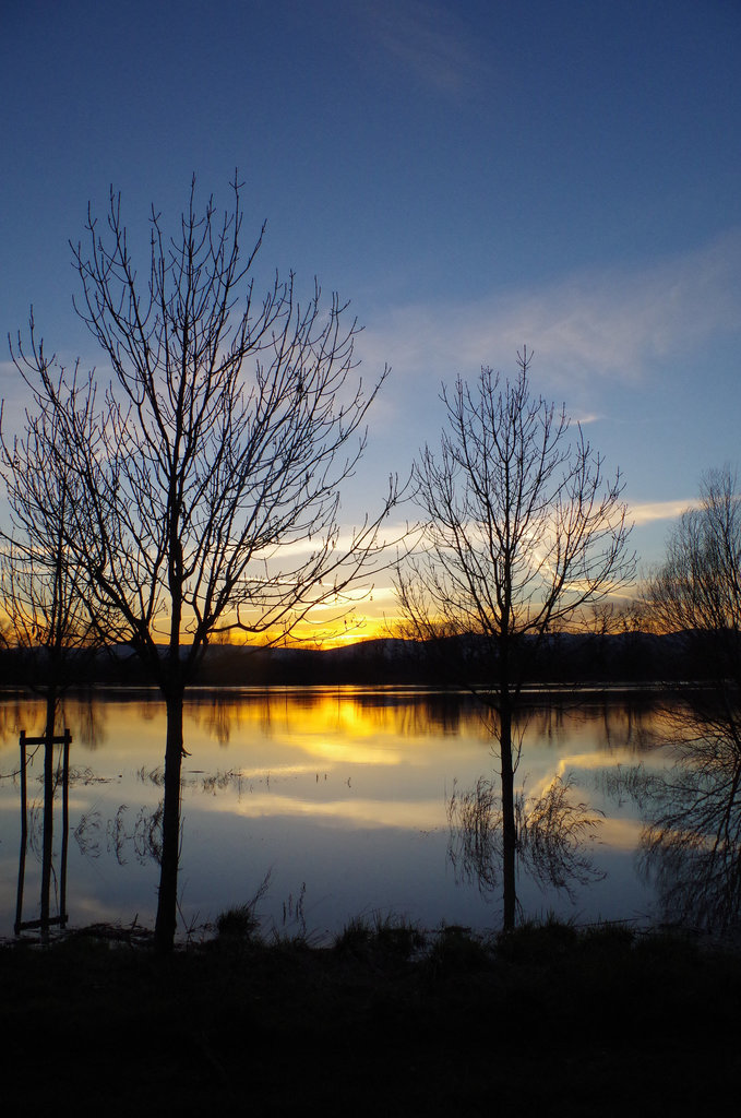 Balade sur les bords de Saône