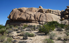 Crown Prince Lookout - Live Oak Canyon Loop (5915)