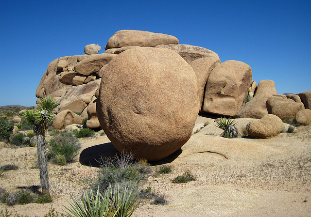 Crown Prince Lookout - Live Oak Canyon Loop (5916)