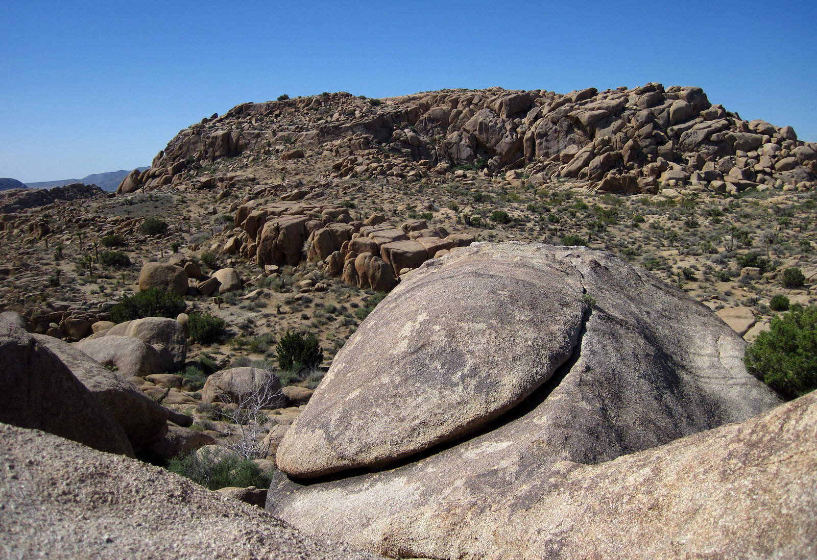 Crown Prince Lookout - Live Oak Canyon Loop (5918)