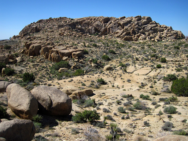 Crown Prince Lookout - Live Oak Canyon Loop (5920)