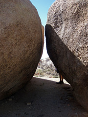 Crown Prince Lookout - Live Oak Canyon Loop (5921)