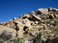 Crown Prince Lookout - Live Oak Canyon Loop (5927)