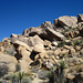 Crown Prince Lookout - Live Oak Canyon Loop (5927)