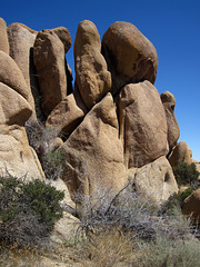 Crown Prince Lookout - Live Oak Canyon Loop (5928)