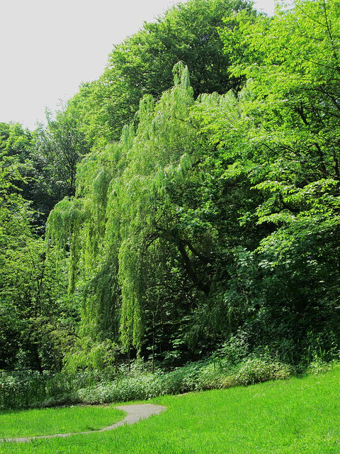 Barnfield Park, Prestwich.