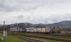 Willits Skunk Train (1704)