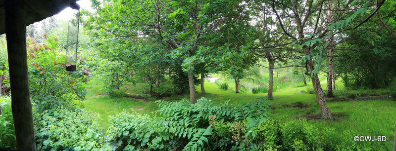 June pan from the gazebo