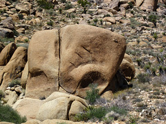 Crown Prince Lookout - Live Oak Canyon Loop (5929)